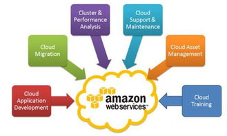 互联网之光 前沿科技产品如何照亮现实之路