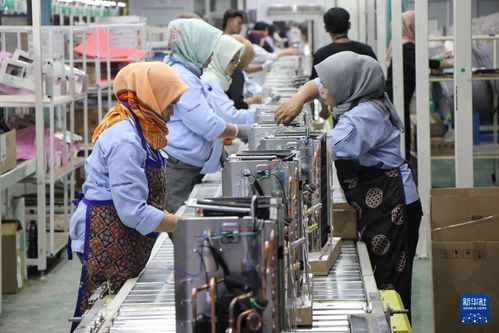 中国“清凉制造”赋能东南亚，网络技术服务助力抗酷暑